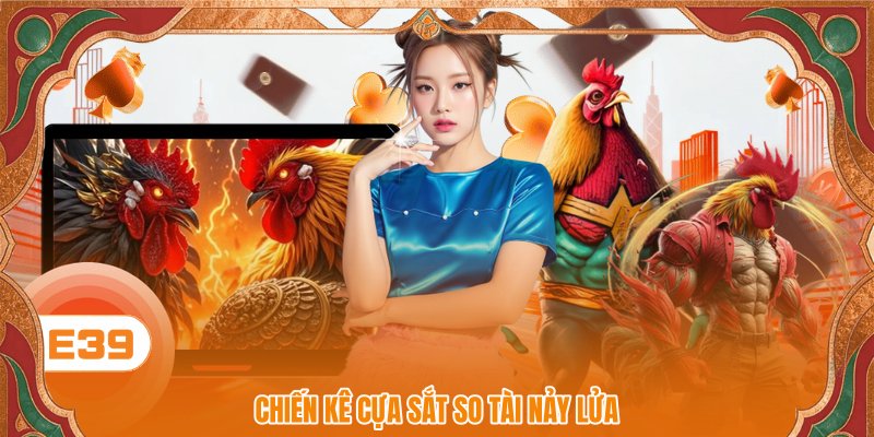 Chiến kê cựa sắt so tài nảy lửa