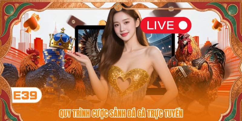 Quy trình cược sảnh đá gà trực tuyến
